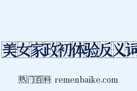 美女家政初体验反义词是什么意思的图片